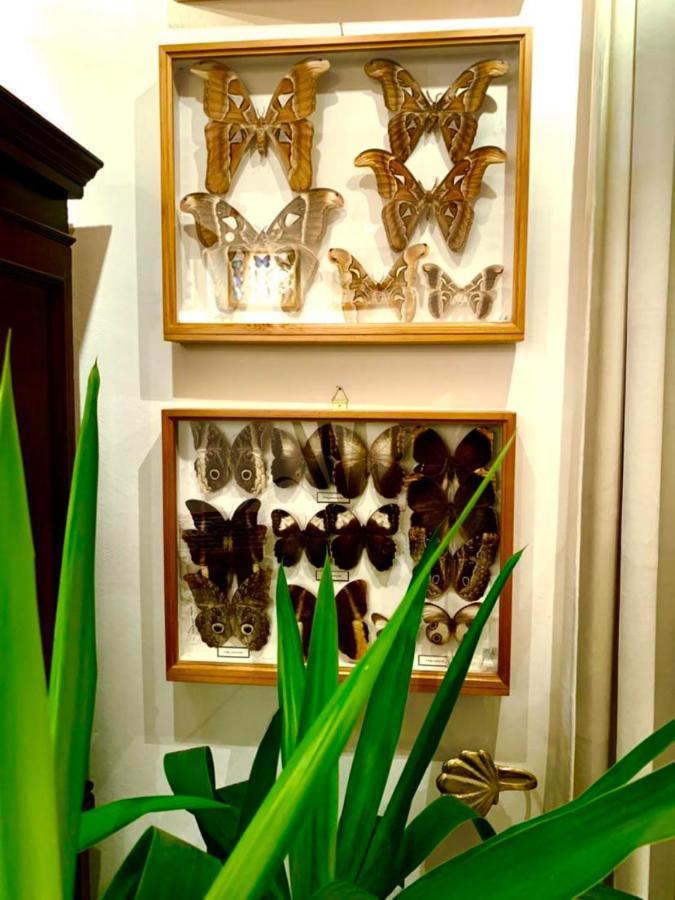 בודפשט Villa Butterfly מראה חיצוני תמונה